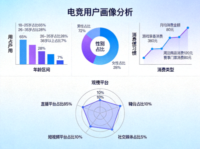 电竞用户画像分析 - 年龄、性别、消费习惯、观赛平台偏好数据可视化